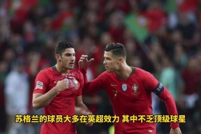 华体会体育-西班牙国家队在欧预赛中取得豪取三分