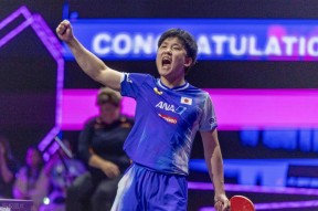 华体会hth-关于英国乒乓球队血洗德国乒乓球队，张本智和绝境逆转的信息