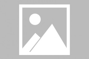华体会hth-包含里昂轻取拜仁，贝尔乌龙送礼欧冠的词条