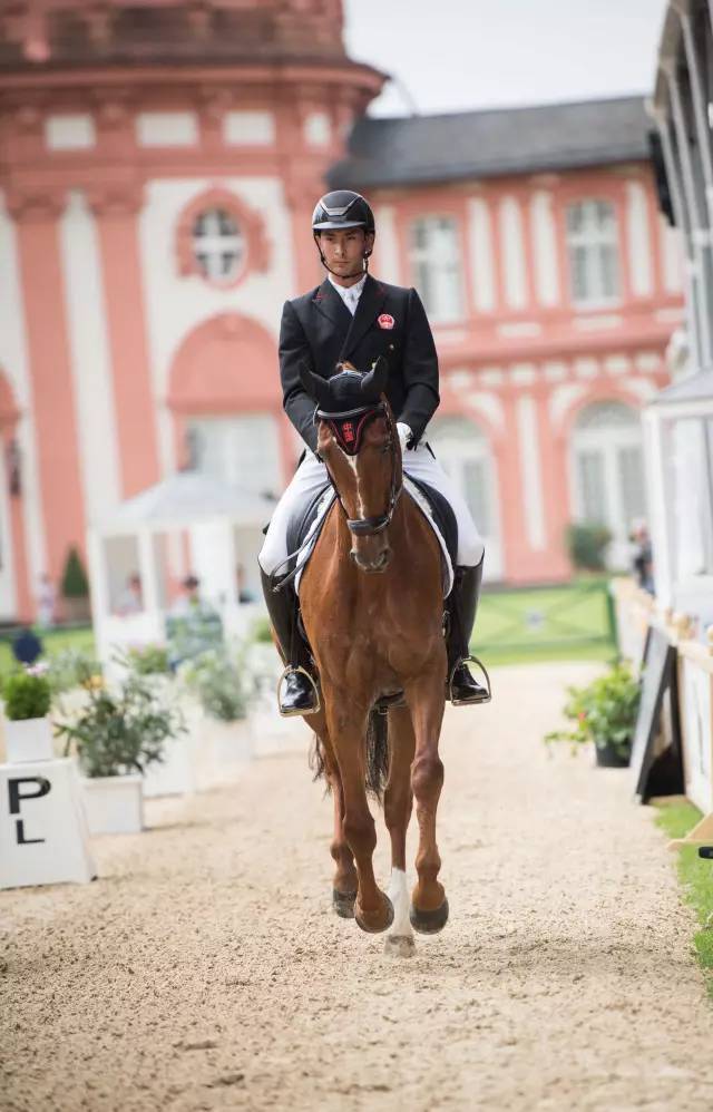 华体会下载-越南运动员在马术比赛中获得银牌 第2张 华体会下载-越南运动员在马术比赛中获得银牌 第2张