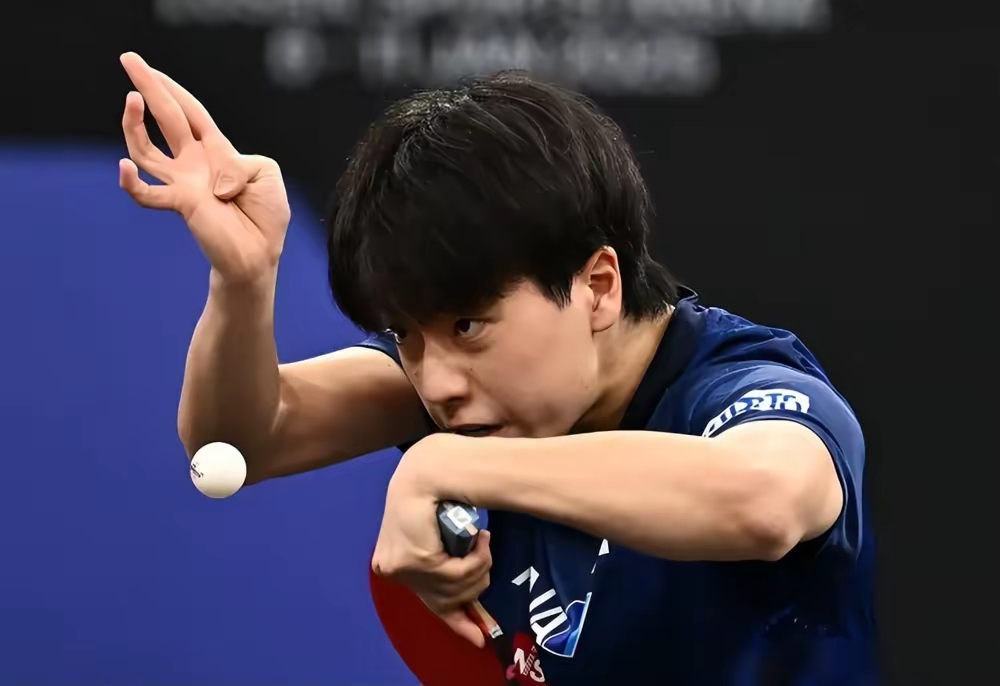 华体会登陆-德国乒乓球队翻盘比利时乒乓球队，奥恰洛夫绝境逆转的简单介绍  第1张
