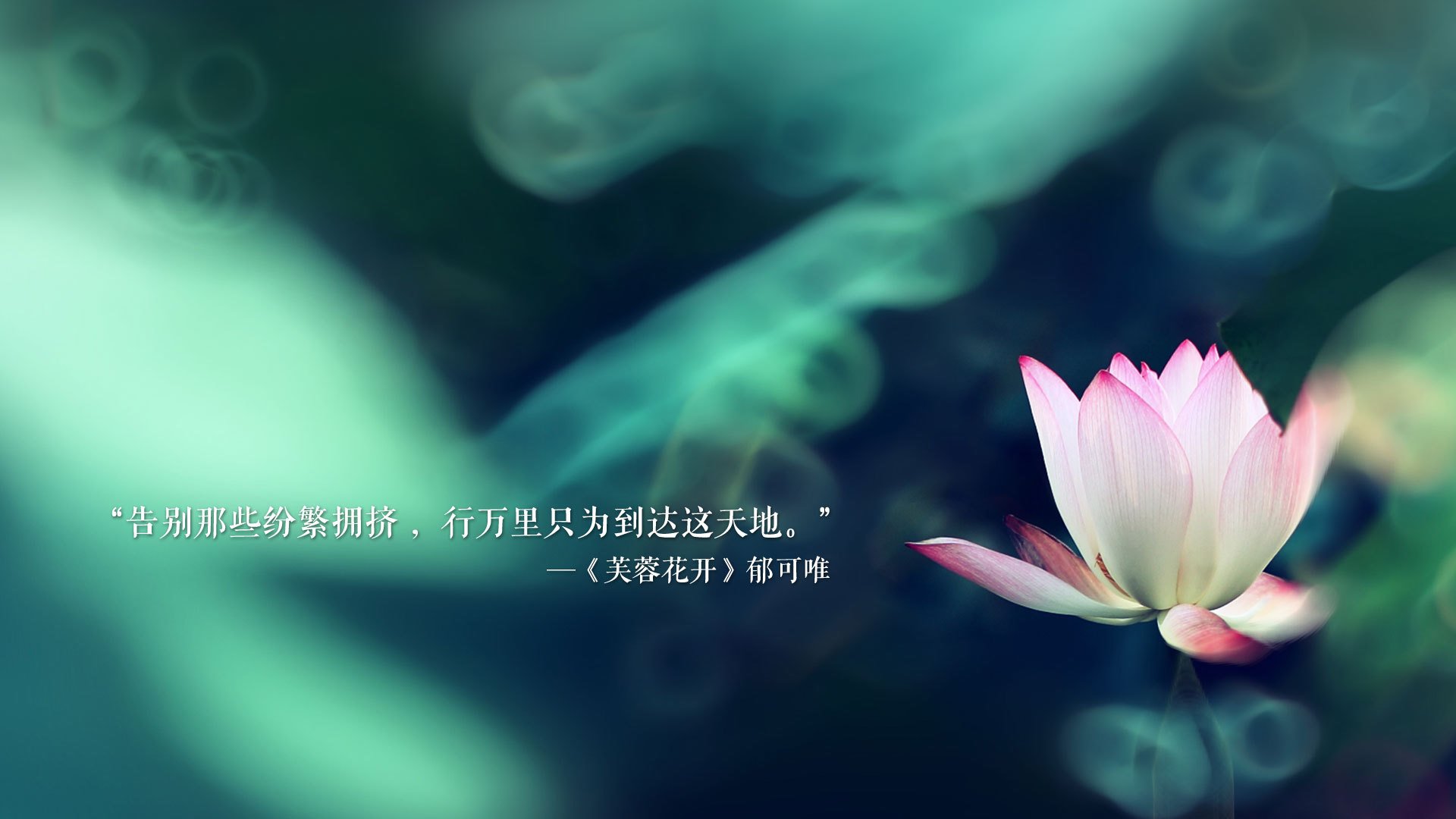 华体会体育-2026世界杯F组血色黄昏,智利碾碎星条旗,托纳利压哨绝杀书写新王序章 第2张 华体会体育-2026世界杯F组血色黄昏,智利碾碎星条旗,托纳利压哨绝杀书写新王序章 第2张